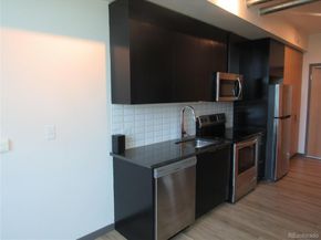 603 Inca Street 313, Denver CO 80204