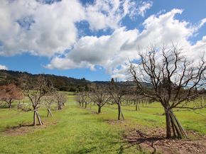 120 Edenvale Court, Watsonville CA 95076