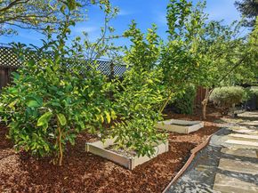 733 Vineyard Terrace, Pleasanton CA 94566