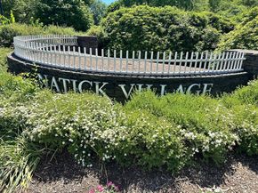 25 Village Rock Ln 12, Natick MA 01760