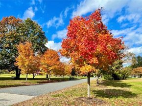 17 Ransom Road, Framingham MA 01702
