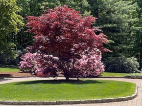 43 Oak Hill Road, Harvard MA 01451