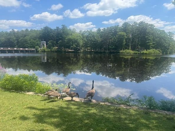 64 Centre Ave 1, Abington MA 02351