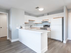 1 Carey Cir 409, Revere MA 02151
