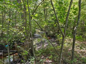 20 Meadow Brook Rd, Norwell MA 02061