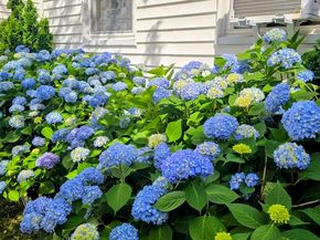16 1/2 Symonds St, Salem MA 01970
