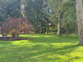 25 Irving Road, Natick MA 01760