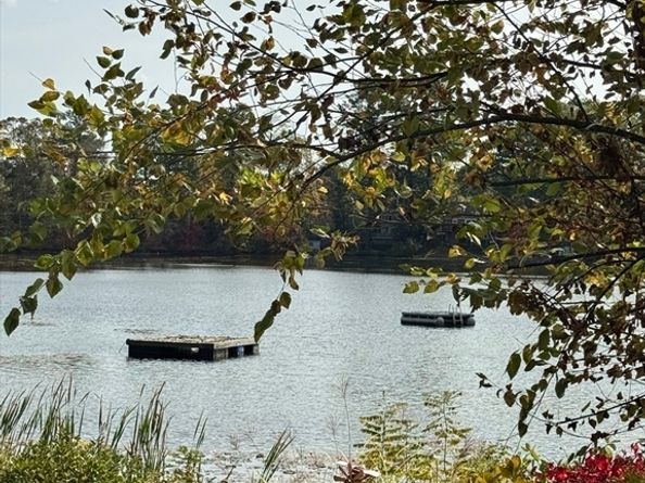 22 Lakeshore Dr, Wayland MA 01778