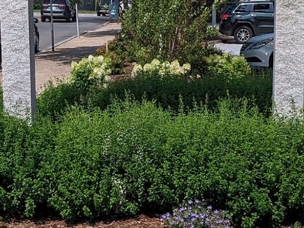 151 Coolidge Ave 105, Watertown MA 02472