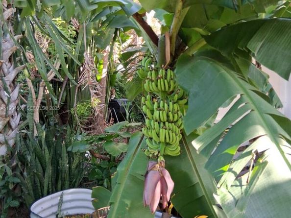 2431 Mayo St, Hollywood FL 33020