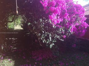 2626 Los Angeles, Heredia FL