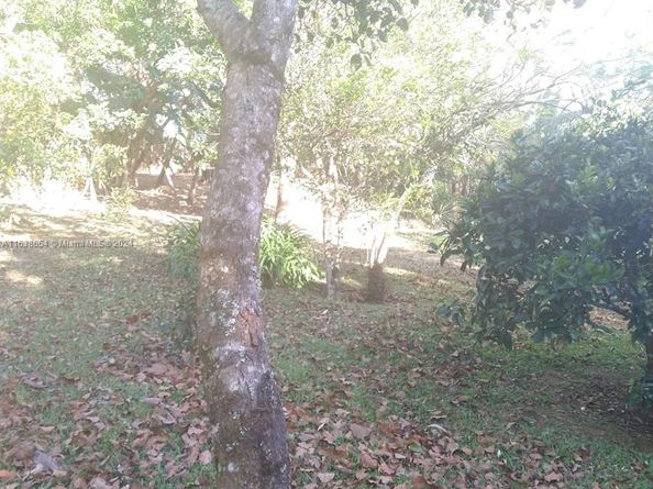 2626 Los Angeles, Heredia FL