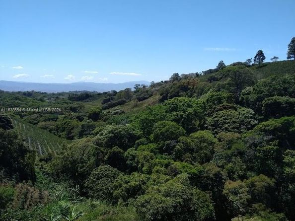 2626 Los Angeles, Heredia FL