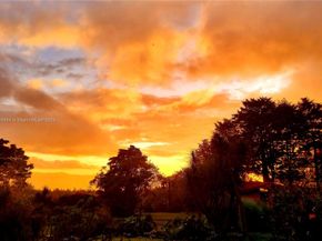 2626 Los Angeles, Heredia FL