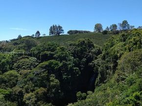 2626 Los Angeles, Heredia FL