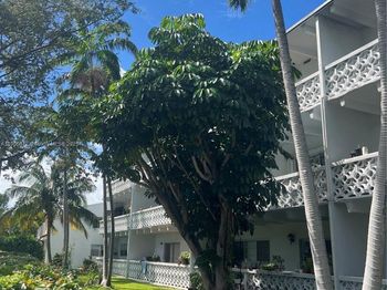 2005 Sans Souci Blvd