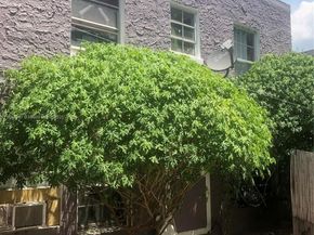 125 NW 7th Ave, Miami FL 33128