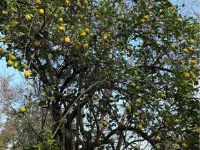 4325 Whitsett, Studio City (los Angeles) CA 91604