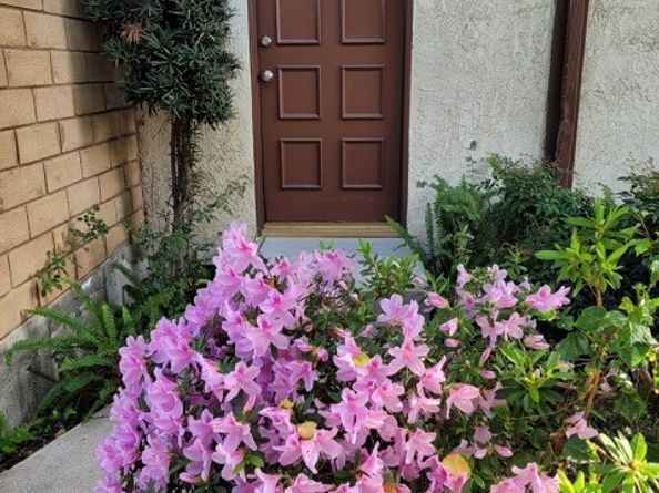 9039 Van Nuys Boulevard 202, Panorama City (los Angeles) CA 91402