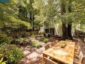 6 Dorothy Pl, Berkeley CA 94705