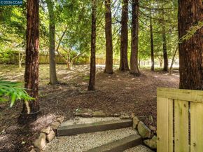 6 Dorothy Pl, Berkeley CA 94705