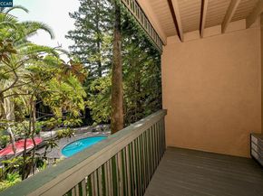 1246 Walker Ave 210, Walnut Creek CA 94596
