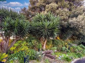 3229 Toyon Ter, Alameda CA 94501