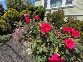 1028 61St St, Oakland CA 94608