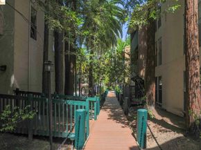 175 Sierra DR APT 303, Walnut Creek CA 94596