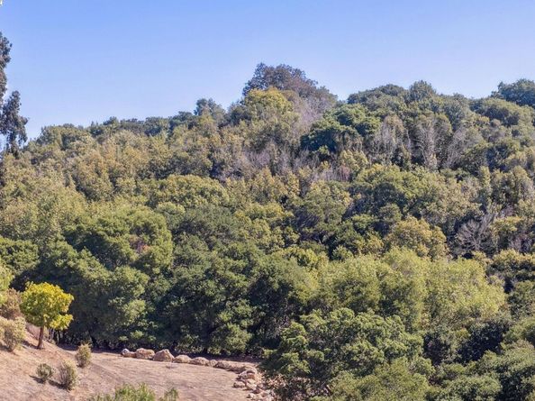 24170 Amaranth Loop, Hayward CA 94541