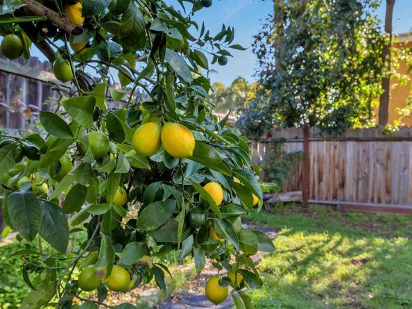 3388 64Th Ave, Oakland CA 94605