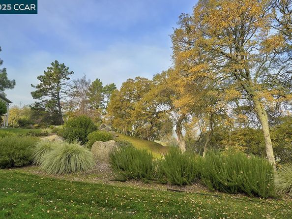 2748 Ptarmigan Dr. 6, Walnut Creek CA 94595