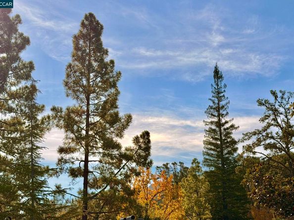 1324 Singingwood Court 3, Walnut Creek CA 94595