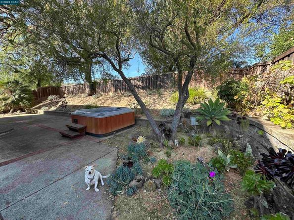 167 Mount Tam Ct, Martinez CA 94553