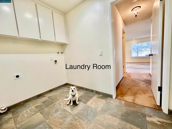 167 Mount Tam Ct, Martinez CA 94553