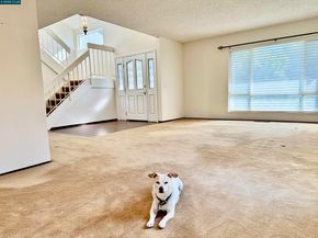 167 Mount Tam Ct, Martinez CA 94553