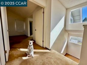 167 Mount Tam Ct, Martinez CA 94553