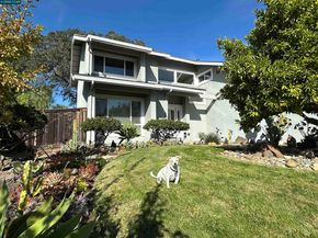 167 Mount Tam Ct, Martinez CA 94553