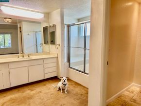 167 Mount Tam Ct, Martinez CA 94553