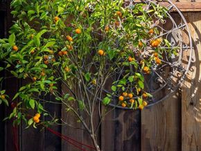 409 Pershing Dr, San Leandro CA 94577