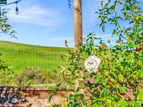 116 Spalding Ct, San Ramon CA 94582