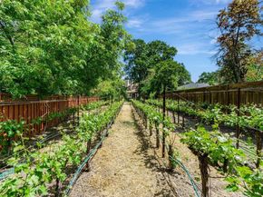 135 Cara Ct, Walnut Creek CA 94596