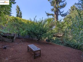 1398 Scenic Ave, Berkeley CA 94708