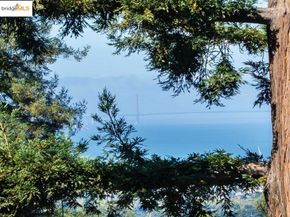 1398 Scenic Ave, Berkeley CA 94708