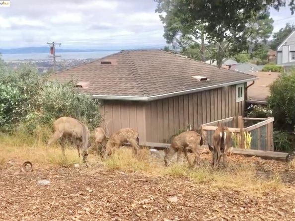 2679 Tamalpais AVE, El Cerrito CA 94530