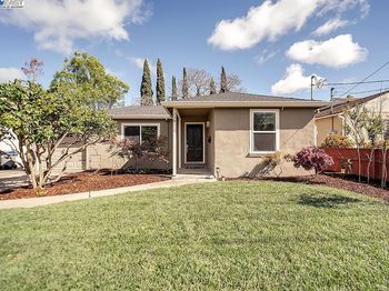 338 Orchard Ave