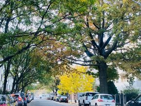 21-67 33 Street 4G, Astoria NY 11105