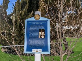 12 Stone Boulevard, Massapequa NY 11758