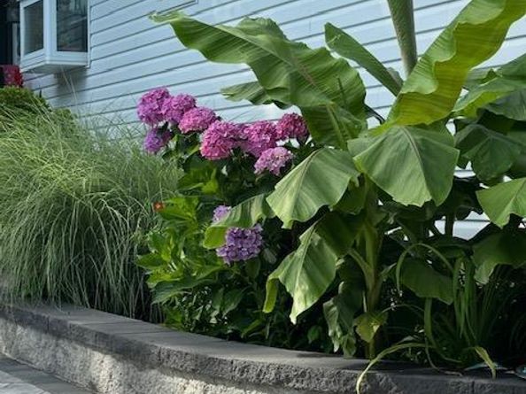 19 Hallock Court, Miller Place NY 11764