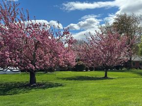 908 Drew Lane, Saint James NY 11780